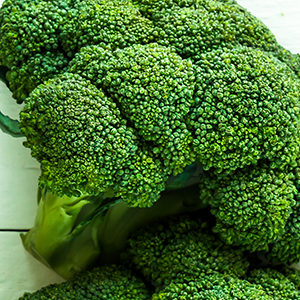 FITCO Veggies Broccoli