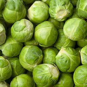 FITCO Veggies BrusselsSprouts