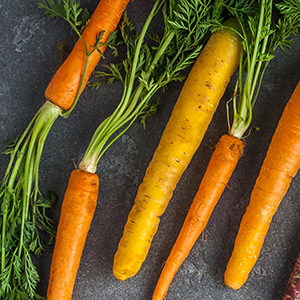FITCO Veggies Carrots